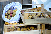 A sack of potatoes on crates of potatoes
