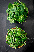 Spring spinach and watercress in wooden bowls