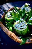 Round zucchinis stuffed with goat's cheese and herbs