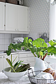 Rhubarb, asparagus and bread on table in vintage-style kitchen