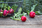 Radishes in a wire basket and next to it