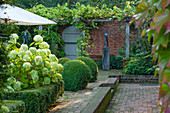 Formaler Garten mit Hortensie 'Annabelle' und Buchs-Kugeln