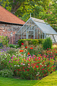 Duft-Beet mit Salbei 'Royal Bumble' (Salvia), Zierlauch, Bronze-Fenchel und Klatschmohn, Gewächshaus