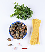 Ingredients for spaghetti with clams