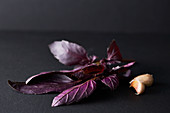 Purple basil and garlic cloves