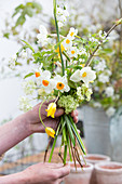 Tying a bouquet of narcissus