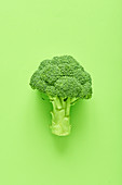 Broccoli on green background