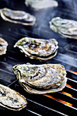 Oysters on a grill