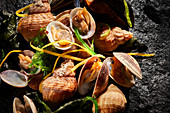 Clams and sea snails with seaweed and lemon zest