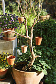 DIY lantern made from plant pots