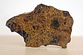 Meteorite NWA 5702