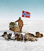Amundsen at the South Pole