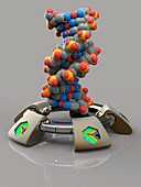 DNA molecule, illustration