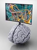 Brain research, conceptual illustration