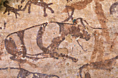 Pictograph of cattle, Libya