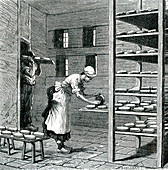 19th Century French camembert maker, illustration