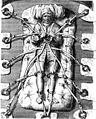 Torture of Robert-Francois Damiens, 19th C illustration