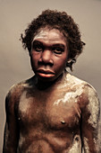 Turkana Boy model