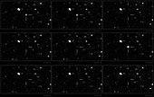 SWIFT J195509+261406 magnetar, optical image