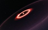 Proxima Centauri dust belts, illustration
