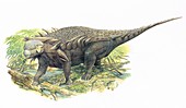 Horshamosaurus dinosaur, illustration