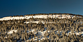 Vail Pass in winter, Colorado, USA