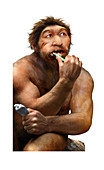 Neanderthal cleaning his teeth, conceptual illustration