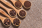 Coffee beans and grinds on wooden spoons