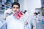 Lab assistant holding test tube rack