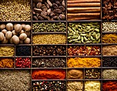 Selection of dried spices in tray