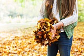 Girl holding a pile of Autumn leaves