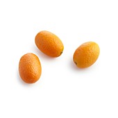 Kumquats