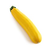 Yellow courgette