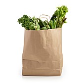 Shopping bag full of fresh produce