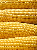 Sweetcorn