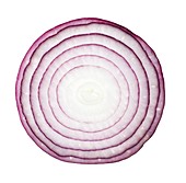 Red onion