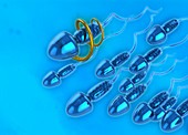 Nano sperm, illustration