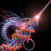 DNA molecular model, illustration