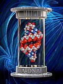 A-DNA, illustration