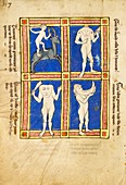 Mythical monstrous races of humans, 13th century