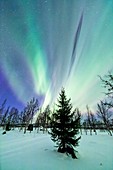 Northern Lights, Lapland, Sweden