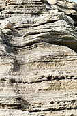 Limestone cliffs, Warrnambool, Victoria