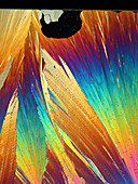 Acetanilide crystals, polarised light micrograph