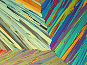 Resorcinol crystals, polarised light micrograph
