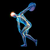 Discus thrower's nervous system, illustration