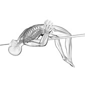 High jumper's skeletal system, illustration