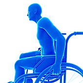 Person in wheelchair, illustration