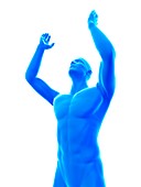 Person with arms raised, illustration