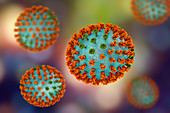 Influenza virus H3N2, illustration