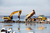 Bulldozer excavating along coast